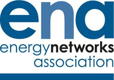 Energy Networks Association Logo